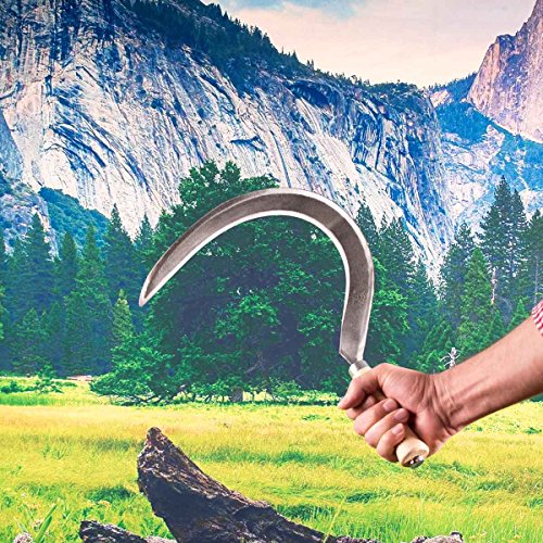 Mondsichel handgeschmiedete Sichel Gartenwerkzeug für Rechtshänder (14 cm) Handarbeit aus Deutschland Nachhaltig inkl. gratis Schleifstein - 5