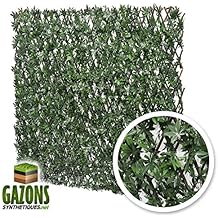 Suchergebnis auf Amazon de f r balkon sichtschutz efeu Suchergebnis auf Amazon de f r balkon sichtschutz efeu