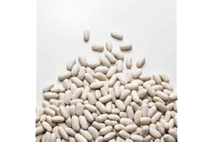 IL CONTADINO - ANTICHI SAPORI FAGIOLI CANNELLINI | Il Contadino | Legumi Secchi (5 Kg)