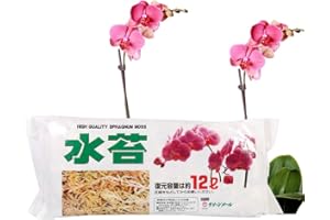 JOYGIFT 12L Moss Phalaenopsis Orchidea Di Muschio Secca Compressa Asetticamente Con Fertilizzante Nutriente Per Terreno Medio