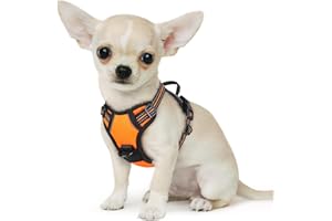 Eagloo Pettorina Cane Taglia Piccola, Pettorina ad h, Pettorina Antifuga Cane, Pettorina Anti Tiro per Cani con Doppio Gancio, Robusto e Regolabile per Addestramento, Pettorina Cucciolo, XS, Arancio