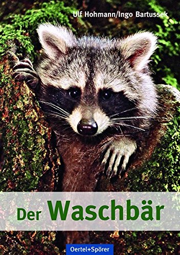 Download Der Waschbär Download Der Waschbär