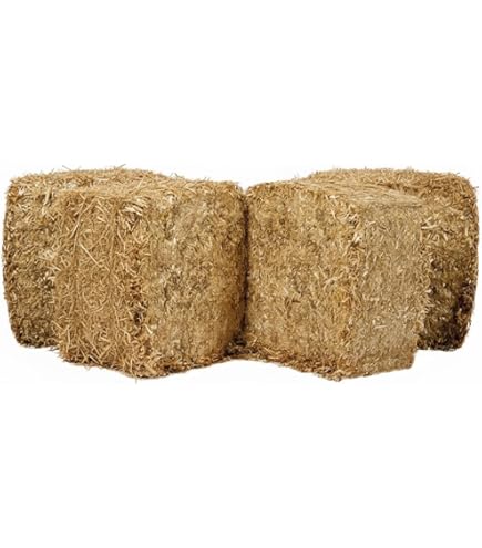 Paille De Blé 100% Naturelle – Litière Animale – Pour Lapins, Volailles, Chevaux, Chèvres – Sac 2 Kg