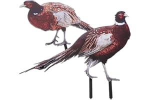 BESPORTBLE Acrylic Pheasant Garden Stakes 2 Pack Double-Sided Uv Printed Lawn Decoration Outdoor Yard and Flower Pot Ornament