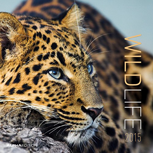 Wildlife 2015 - Broschürenkalender (30 x 60 geöffnet) - Tierkalender