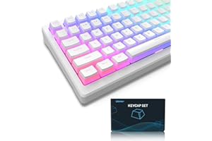 LQXQ Pudding Keycaps, 165 PBT Touches Ensemble QWERTY, Profil OEM Keycaps Personnalisé ANSI US Layout, compatibilité Universelle pour Claviers à 100%, 75%, 65%, 60% - Blanc（ISO Non Inclus）