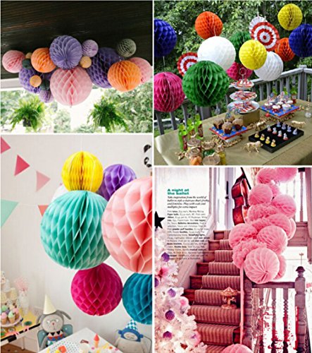 SwirlColor Elegant Honeycomb Flower Ball Pull Paper Flower Balls for Wedding Garden Party Outdoor Decoration 12 Pcs - Hot Pink, White
