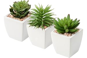 Oairse Serie di vasi succulenti artificiali Piante grasse finte in vaso di ceramica Set di 3 piante artificiali succulente in vaso mini per mensola del bagno Cucina Patio