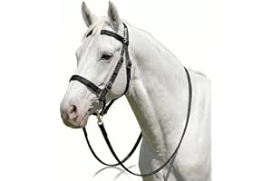 Horse Bridle with Reins and Stainless Steel Bit Set for Riding & Training – Adjustable | Anti-Rust SS Bit | Heavy Duty | Equestrian | Horse Riders | Horse Trainers | Horse Tack (Black) (Cob (Medium)