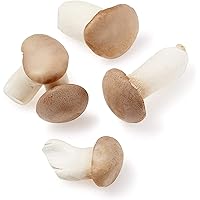 Pilzland Bio Kräuterseitlinge, 100 g, Deutschland