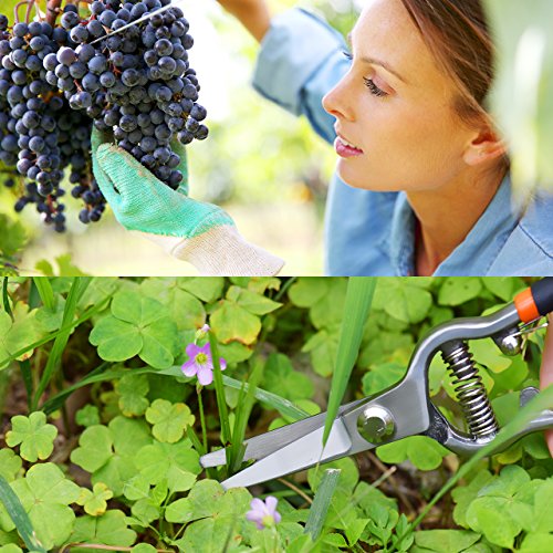 Gartenschere Kit, OMorc Rebschere Set Blumenschere Holzschere Astschere Baumschere mit 1 Paar Bypass Pruner und 1 Paar Slim Garden Schere ideal für Scheren Zweige, Stängel, kleine Pflanzen und Kommissionierung Früchte. - 7