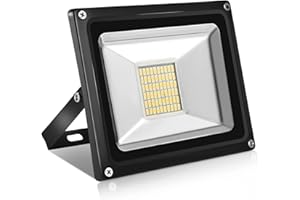 papasbox 12V 30W LED Projecteur, Projecteur d'Extérieur Super Lumineux 2400LM, Blanc Chaud 3000K, Floodlight étanche IP65 pour jardin, cour, patio