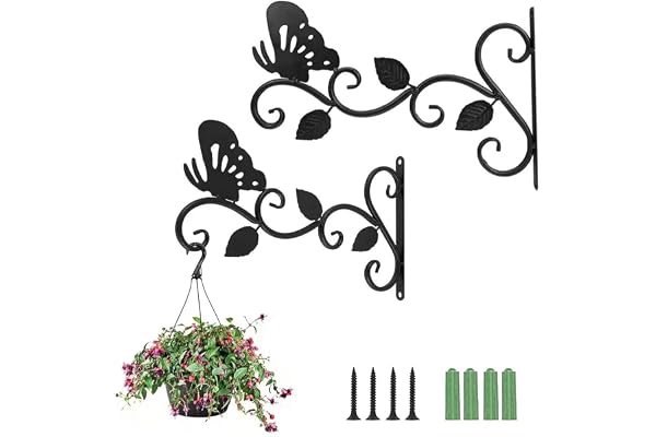 2 Pièces Support Mural pour Plante, Balcon, Crochet de Suspension avec 4 Vis et 4 Vis D'expansion, pour Lanterne Mangeoire à Oiseaux