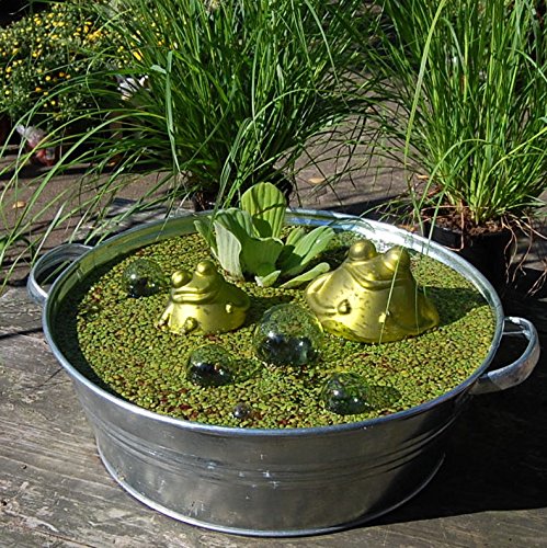 Miniteich mit Zinkwanne Glasschwimmkugeln Schwimmfrosch und Wasserpflanzen