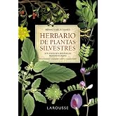 Herbario de plantas silvestres