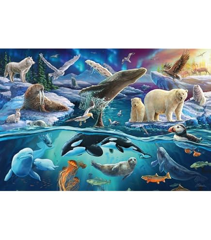 Schmidt Spiele 56253 – No Discover Dinosaurs, 200 Pieces Schmidt Spiele 56253 – No Discover Dinosaurs, 200 Pieces