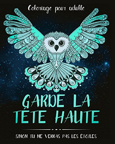 Télécharger Coloriage pour adulte: Garde la tête haute sinon tu ne verras pas les étoiles - Un livre de colori livre En ligne