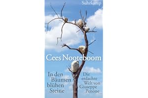 In den Bäumen blühen Steine: Die erdachte Welt von Giuseppe Penone