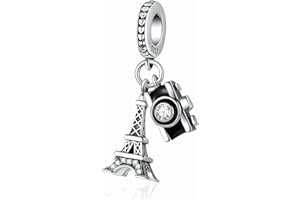 LNQOBU Perles Charms Argent Sterling 925 Breloque Pendentif Bead pour Européen Bracelets et collier Cadeaux pour les femmes