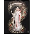 Life Blood - Female Grim Reaper by Artist Anne Stokes - Canvas Picture on Frame Wall Plaque / Wall Art
