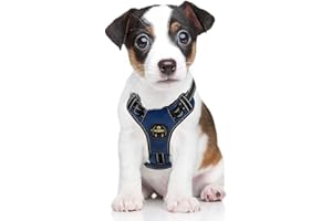 MASBRILL Regolabile Pettorina Cane, Petto Imbracatura per Cani di Taglia Piccola Media Grande, Pettorina Cani Riflettente Morbida Imbottita con 2 Leash Ganci e Maniglia di Controllo Facile