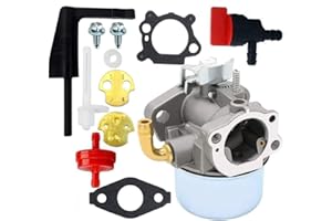 Ewillownm Compatible avec carburateur pour moteur Briggs Stratton Craftsman Tiller Intek 190 6 HP 206 5,5 hp