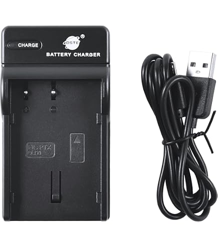 Batteria E Caricabatterie Per Pentax D-LI90 - Litio 2800mAh, Con Cavo Micro USB, Compatibile Con K-7, K-5, 645D E Altri