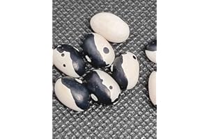 GHINO DI TACCO SEMI FAGIOLI YIN YANG (FAGIOLO ORCA)