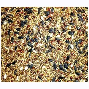 Economic Cockatiel Bird Seed Mix 1 Kilogram