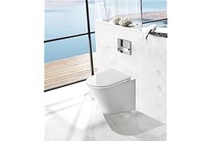GLASDEALS INH. LARS APITIUS Spülrandloses Stand-WC inkl. Soft-Close Sitz BTW-6014