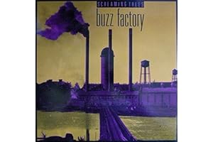 buzz factory