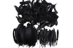 Pveath Federn zum Basteln, 250 Stück, farbige Federn, auffallende Federn zum Basteln, Traumfänger, natürliche Handwerksfedern für Hochzeit, Party, Dekorationen (3 Größen)