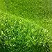 Produktbild WENZHE Rasenteppich Rasenteppich Kunstrasen Kunstrasenteppich Hohe Dichte Billig, Dickes 10 / 20mm, 2 Meter Breit, 5 Größen ( Farbe : B-20mm , größe : 2*0.5m )