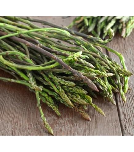 La Flora Del Parco: Asparago Selvatico (Asparagus Acutifolius - Foto 2