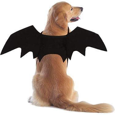 Süßes Hundekostüm Als Schweinchen – Rosa Kapuzenpullover Für Halloween & Winter