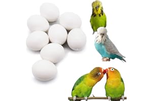 FOIBURELY 8 Pcs Solid Parrot Dummy Eggs Hatching Eggs Lovebird, Bourkes, Lineoleated, Eng Budgie. Trick The Birds to Stop Laying Eggs, Dummy Eggs（22mm18mm）