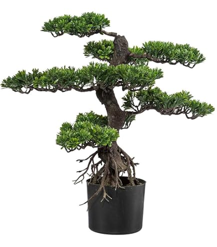 Amazon.de: artplants.de Knstlicher Elefantenfu Baum ALWINA, Naturstamm,  grn, 150cm - Kunstbaum