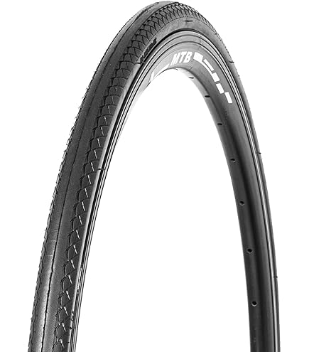 taka RS1 クリンチャーホイール SCHWALBE LUGANO Buy Schwalbe, Lugano