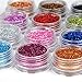 Fashion Gallery 12 Color Metal Glitter Nail Art Tool Kit Acrylic UV Powder Dust Gem Stamper