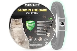 WEALLIN Lumineux Traitement Contre Les puces, Collier Anti Puces pour Chat Imperméable et Réglable, Naturelles et Efficace Protection 8 Mois pour Les Chatons de Toutes Tailles, Gris (1 Paquet)