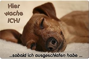 NANYUK +++ ZWERGPINSCHER Rehpinscher - Metall WARNSCHILD Schild Hundeschild Sign - ZWP 07 T15