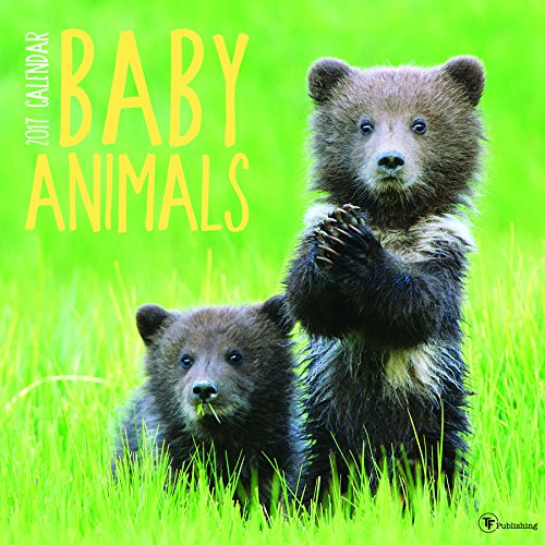 Preisvergleich Produktbild Cal 2017 Baby Animals