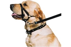 Ancol Ronzal de Entrenamiento para Perro