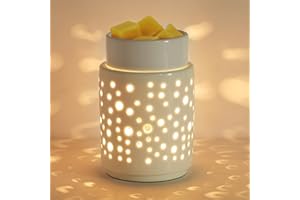 DIALAN'S Wax Burner Ceramic Electric Wax Melt Warmer for Scented Fragrance Wax Cubes Tarts Home Office Yoga Spa Aromatheray Gifts Decor