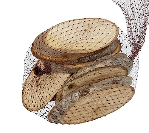 10 Stk Holzscheiben 12cm !! oval Baumscheiben Holz Scheiben Birke Baum Scheibe Basteln Holzstücke Birkenscheiben Holzscheibe