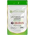 HB Lactobacillus Gasseri | 120 Lactobacillus Probiotic Capsules - High Strength 3 Billion CFU L-Gasseri Probiotic per Serving | Non-GMO, Gluten & Allergen Free | Made in The UK