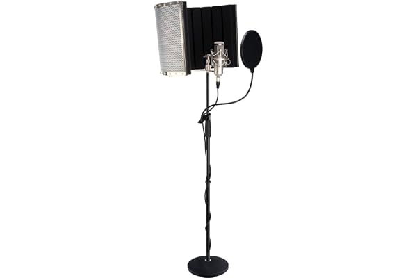 Pronomic CM-100S Microphone Studio XLR à Grande Membrane, condensateur, avec Anti-Pop, Suspension, étui, bonnettes Anti-Vent, Adaptateur et Protection, Couleur Argent.