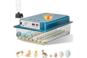 ORABUTH Couveuse Oeuf Automatique, Incubateur Oeuf Automatique 24-36 Oeufs avec Retournement Automatique des Oeufs et Humidification Automatique, Couveuse pour Oeufs de Poule, Caille, Canard