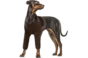 PUMYPOREITY Combinaison de protection pour chien - Coudières - Protection contre les fuites - Pour pattes avant, collerette - Genouillères - Marron - Taille 2XL