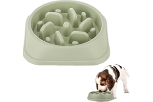 MIKIULY Comedero Antivoracidad para Perros Grandes y Pequeños/Medianos, para Mascotas (Verde Claro)